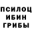 Галлюциногенные грибы Psilocybine cubensis LB B.