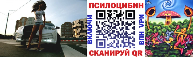 Галлюциногенные грибы мицелий  купить наркоту  MEGA ССЫЛКА  Тихвин 